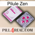 Zen Pill 32